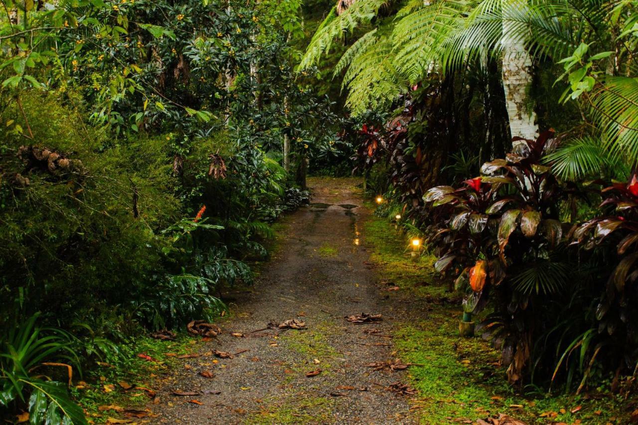 Quarto Varanda - Residencia Gaia Itatiaia Итатиая Экстерьер фото